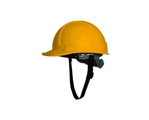 Head Protection